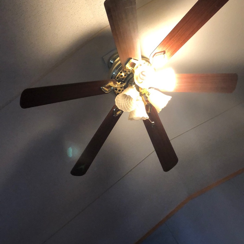 Meet your Posher, Anayeli